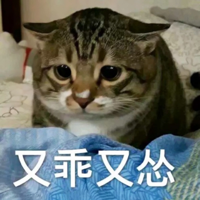网络搞笑沙雕头像 其它头像 第7张