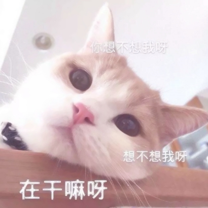 网络搞笑沙雕头像 其它头像 第2张