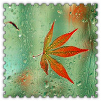 雨滴头像大全唯美 其它头像 第25张