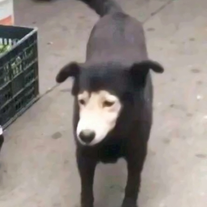 搞怪的情侣头像一对两张