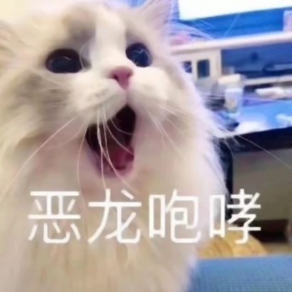 网络搞笑沙雕头像 其它头像 第5张