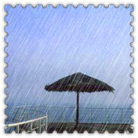 雨滴头像大全唯美 其它头像 第13张