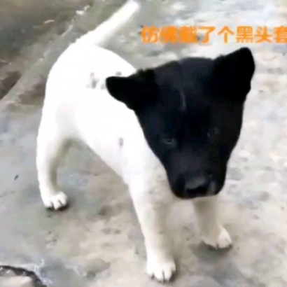 搞怪的情侣头像一对两张 情侣头像 第2张