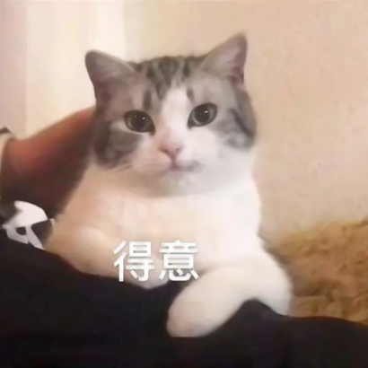 网络搞笑沙雕头像 其它头像 第9张