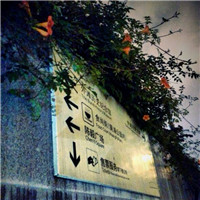 微信头像雨滴 其它头像 第10张