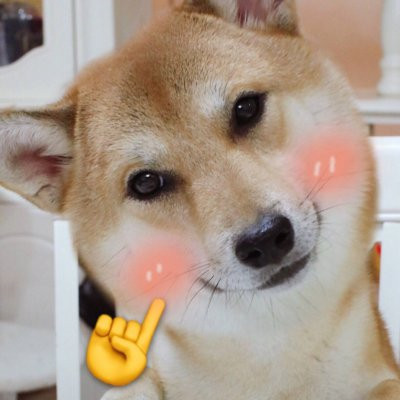 一猫一狗可爱情侣头像 情侣头像 第3张