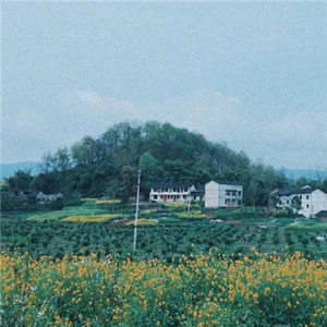 微信头像淡雅清新 风景头像 第12张