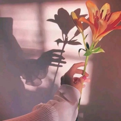 女人最旺财的微信头像推荐，女人必看！