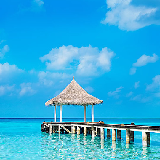 宝藏发现！适合永久做头像的简单图片