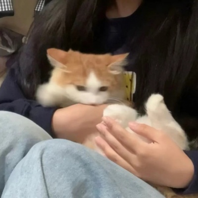 对象不是人可爱情侣头像分享