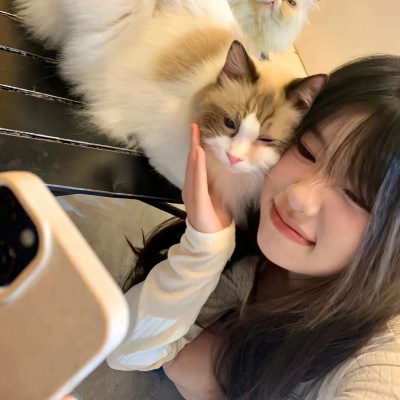 对象不是人是猫咪可爱系列情头