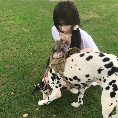 2025最新治愈氛围感小众女生头像大全