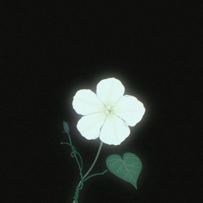 被我挖到了!小众唯美卡通头像分享