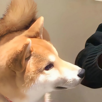 超有趣！男朋友对象不是人系列情头来了