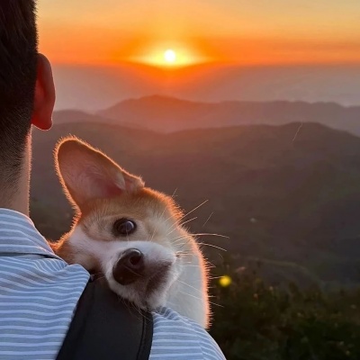 氛围感拉满的小众阳光男头来啦