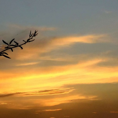 被夕阳落日黄昏治愈的唯美风景头像美到啦!