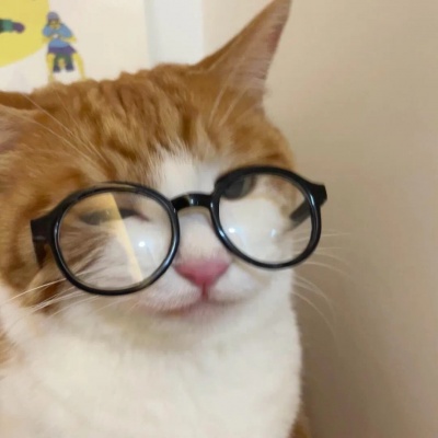 可爱头像高清无水印