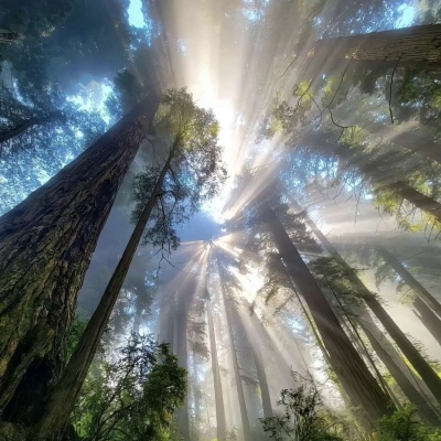 被唯美黄昏风景头像美到啦!