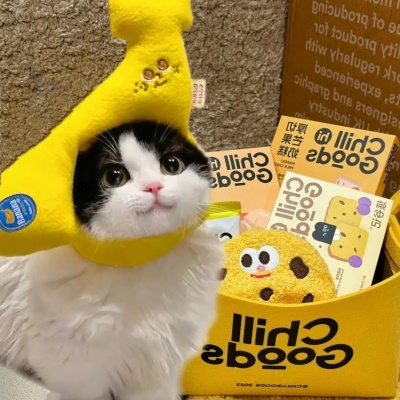 萌炸了！一左一右可爱猫猫情侣头像来啦！