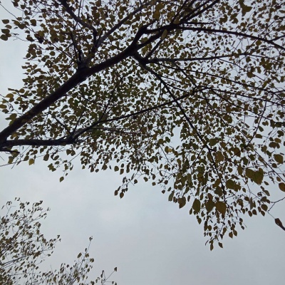 被这些小众风景头像美到啦!