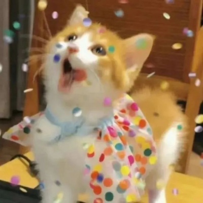 可爱猫咪情头一左一右,超有爱