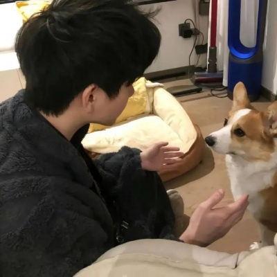 高质ins风男生头像🎨