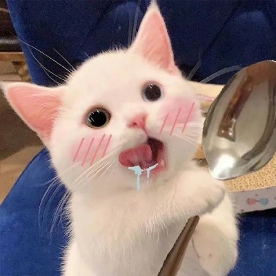 萌化啦!超可爱猫咪头像