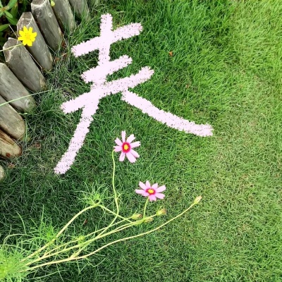🌼唯美花朵治愈风景头像，一眼就心动！