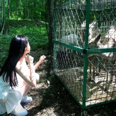 一眼爱上的小清新绿色治愈女生头像