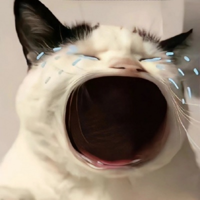 2026超萌可爱萌宠情头合集!