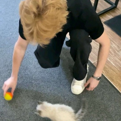 潮流帅气的高清ins质量男头