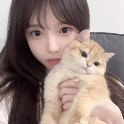 温柔系抱猫女头推荐：和猫咪贴贴的瞬间，每一张都超治愈