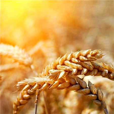 100张男人专用高清大格局微信头像来袭