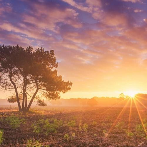 100张唯美清新清晨微信头像来袭!