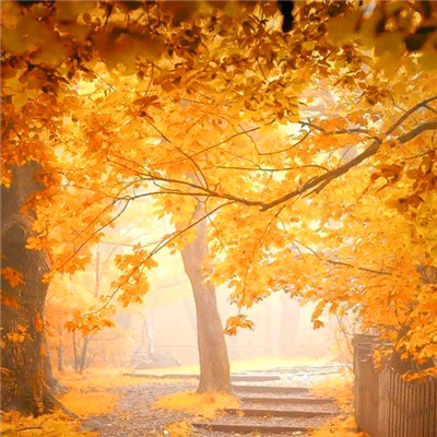 宝藏！迷人风景头像图片大集合来啦