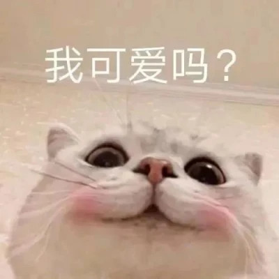 聊天必备！100张超绝表情包头像来袭