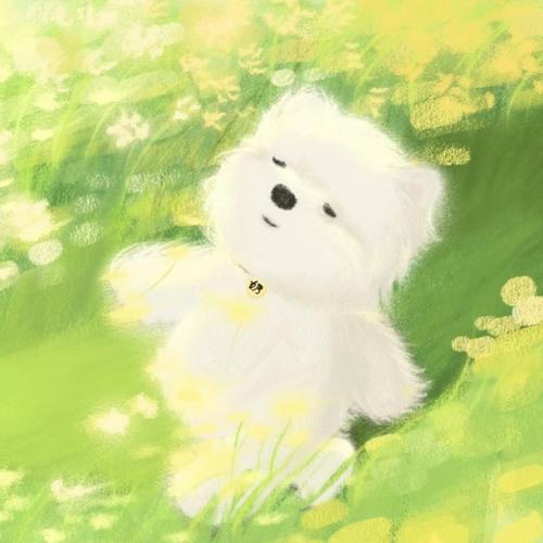 微信头像简约干净🌟爱了!